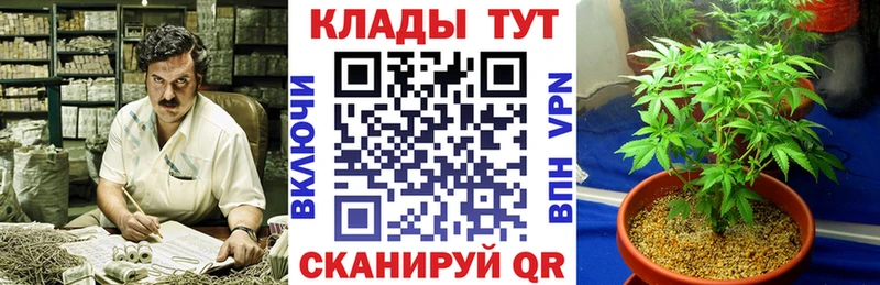 Купить закладку Бошки Шишки  Cocaine  Гашиш  Мефедрон  Оса