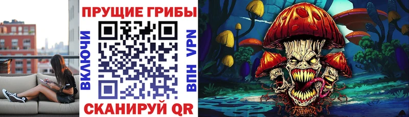 Купить где  Оса  Галлюциногенные грибы Cubensis 