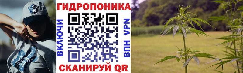 Купить где  Оса  Марихуана ГИДРОПОН 